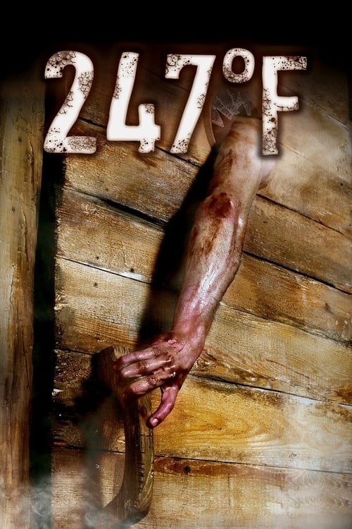 247 Degrees Fahrenheit (2011) Poster