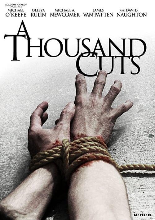 A Thousand Cuts (2012) Poster