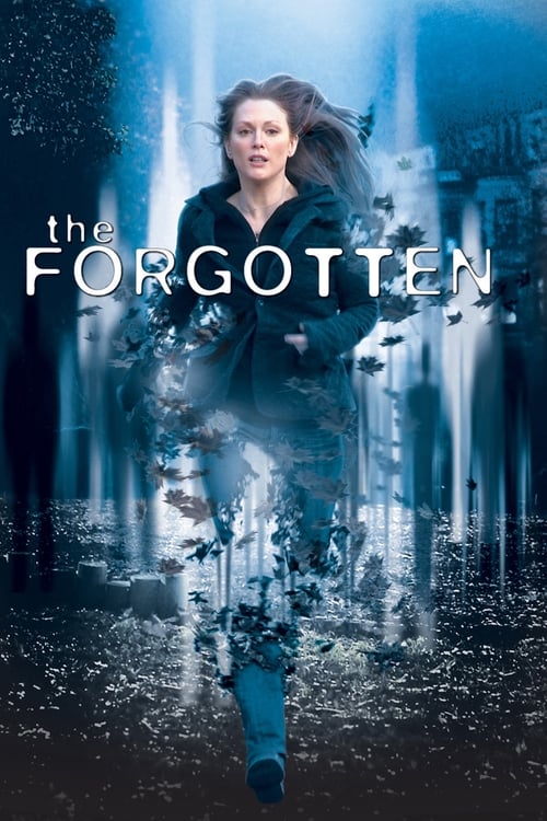 The Forgotten (2004) Poster